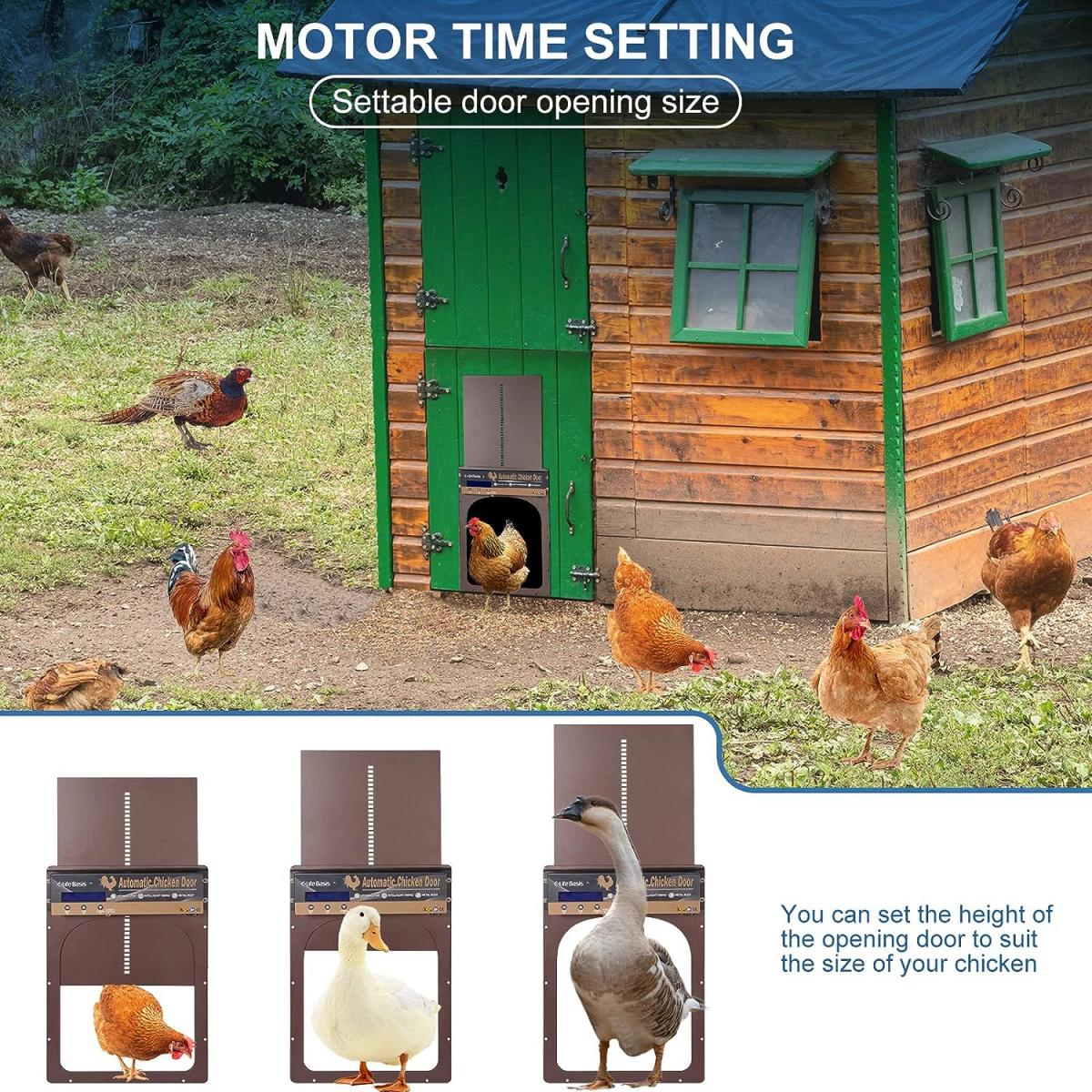 Automatic Chicken Coop Door, Solar Powered Chicken Coop Door, With Timer and Light Sensor, Manual & Remote Control, 4 Modes, Waterproof, Anti Pinch Design, Australian Power Cord