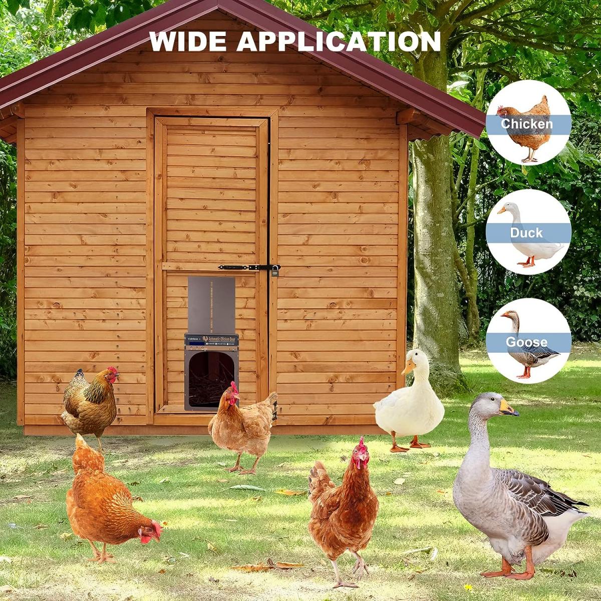Automatic Chicken Coop Door, Solar Powered Chicken Coop Door, With Timer and Light Sensor, Manual & Remote Control, 4 Modes, Waterproof, Anti Pinch Design, Australian Power Cord
