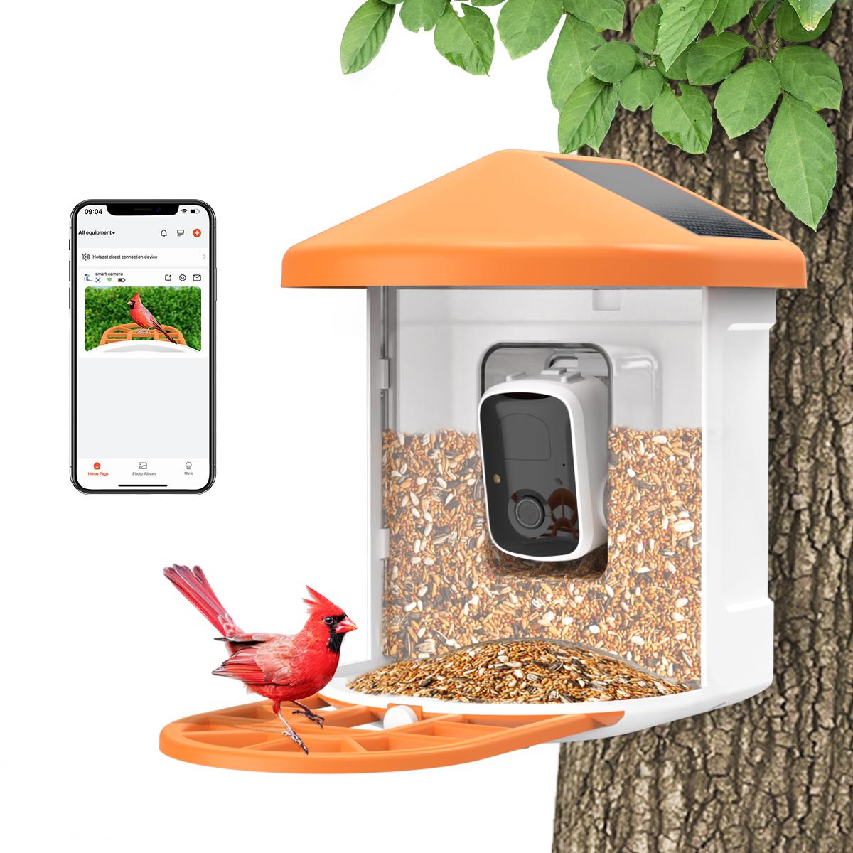 Intelligent bird feeder camera, AI automatic bird recognition, 1080P ...