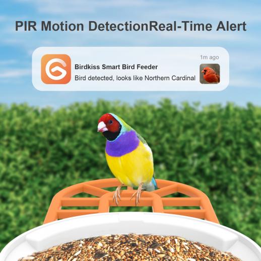Bird Feeder with Camera, 1080HD Smart Bird Feeder with PIR Motion
