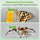 2.4인치 스크린 핸드헬드 현미경, 500배 확대, 1080P 사진 및 동영상 촬영 가능, 3-12세 남녀 아동용, Kentfaith