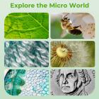 2.4인치 스크린 핸드헬드 현미경, 500배 확대, 1080P 사진 및 동영상 촬영 가능, 3-12세 남녀 아동용, Kentfaith