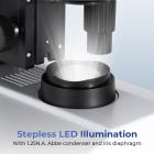 Darkfield Microscope with 7in Screen, 40X-2500X Magnification, 5MP Camera for Photos & Videos, 195 Achromatic Objectives, Double-layer Mechanical Stage, Kentfaith