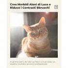 52mm Filtro Glimmer Diffusion 1 per Ammorbidisce i Dettagli in Modo Unico, Aggiungendo un BaglioreVetro Ottico HD con 28 Strati di Nano-Rivestimento -Serie Nano-Xcel
