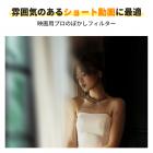 100mm ハンドヘルド スプリットディオプターフィルター 光学ガラスプリズム 特殊効果カメラレンズフィルター ナノベーシックシリーズ