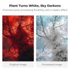 49mm 720nm Infrared Filter (AR+AF Coated) HD Optical Glass with 28-Layer Coating, Standard IR Filter for Unmodified Cameras to Shoot Surreal Landscape and Black & White Photography - Nano-Xcel Series