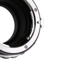 Poker Aprovado Como Esporte Da Mente Na Câmara ?