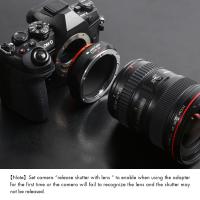 Which Mirrorless Cameras Have The Same Lens Mount?