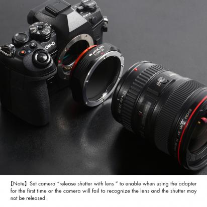 Which Mirrorless Cameras Have The Same Lens Mount?