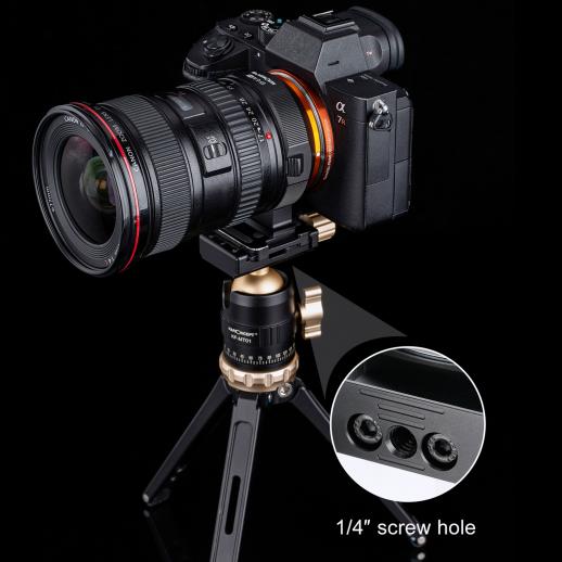 Canon EF レンズマウントアダプターの Sony E マウント カメラ, 電子