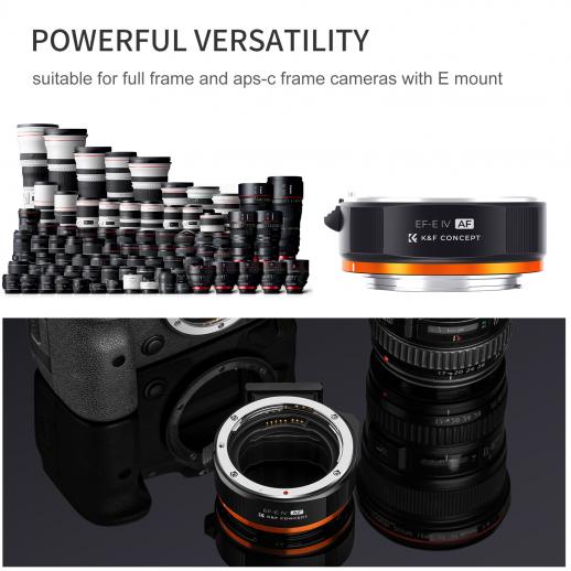 Canon EF/EF-S Autofocus Lens to EOS R Camera Mount Adapter, EF-EOS R (Auto  Focus)