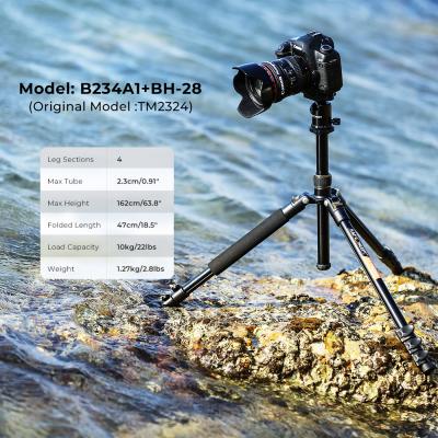 K&F Concept TM2324 Canon Nikon DSLR 사진기 62인치 알루미늄을 위한 경량 여행 삼각
