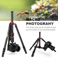 三脚 どこが前 ?