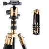 TM2235（Golden）DSLR Camera Aluminum Travel Tripod With Ball Head Metal Quick Release Plate