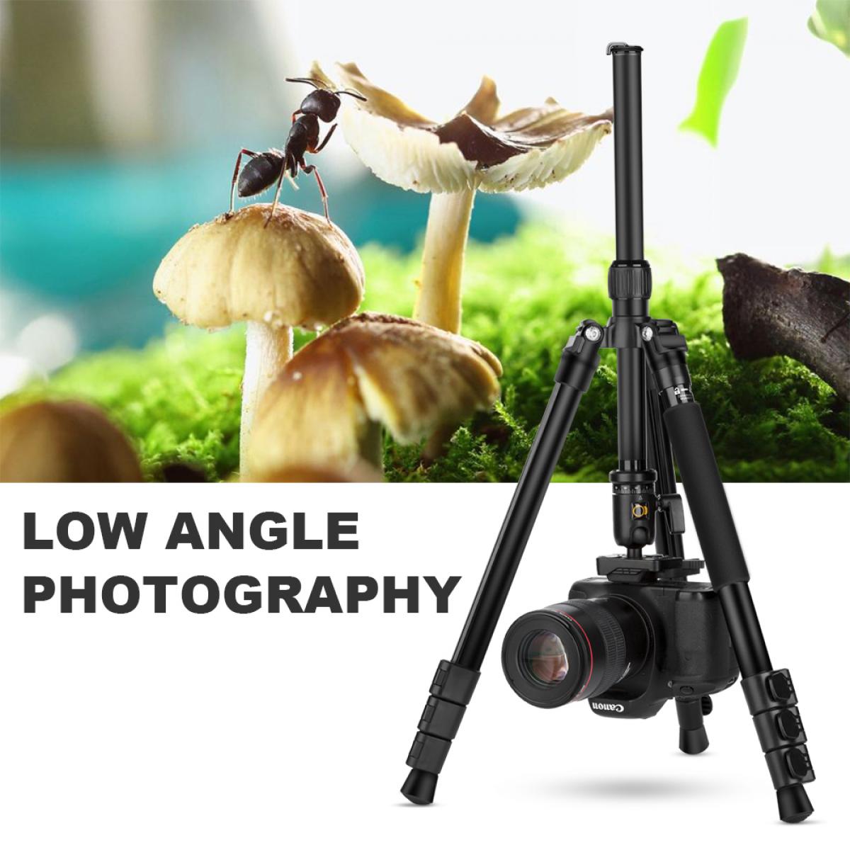 Lightweight Tripod Ball Head Tm2524 K&F Concept KENTFAITH