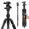 TC3134C Professional Carbon Tripod Monopod Kit for DSLR Camera Ball Head 4 Sections