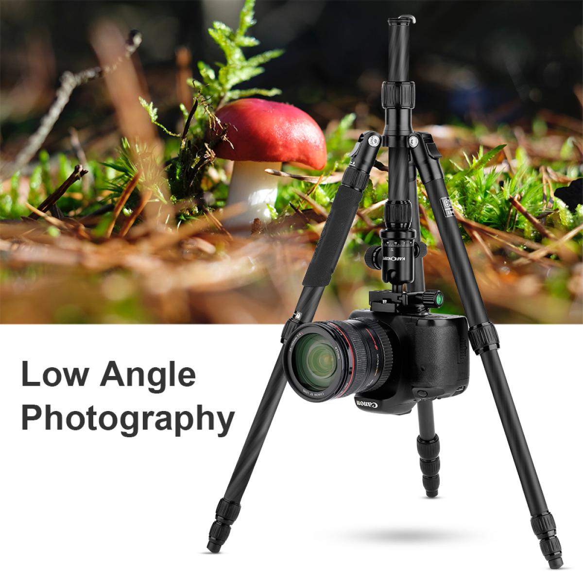 TC3134C Profissional Carbono Tripod Monopod Kit para DSLR Camera Ball Cabeça 4 Seções