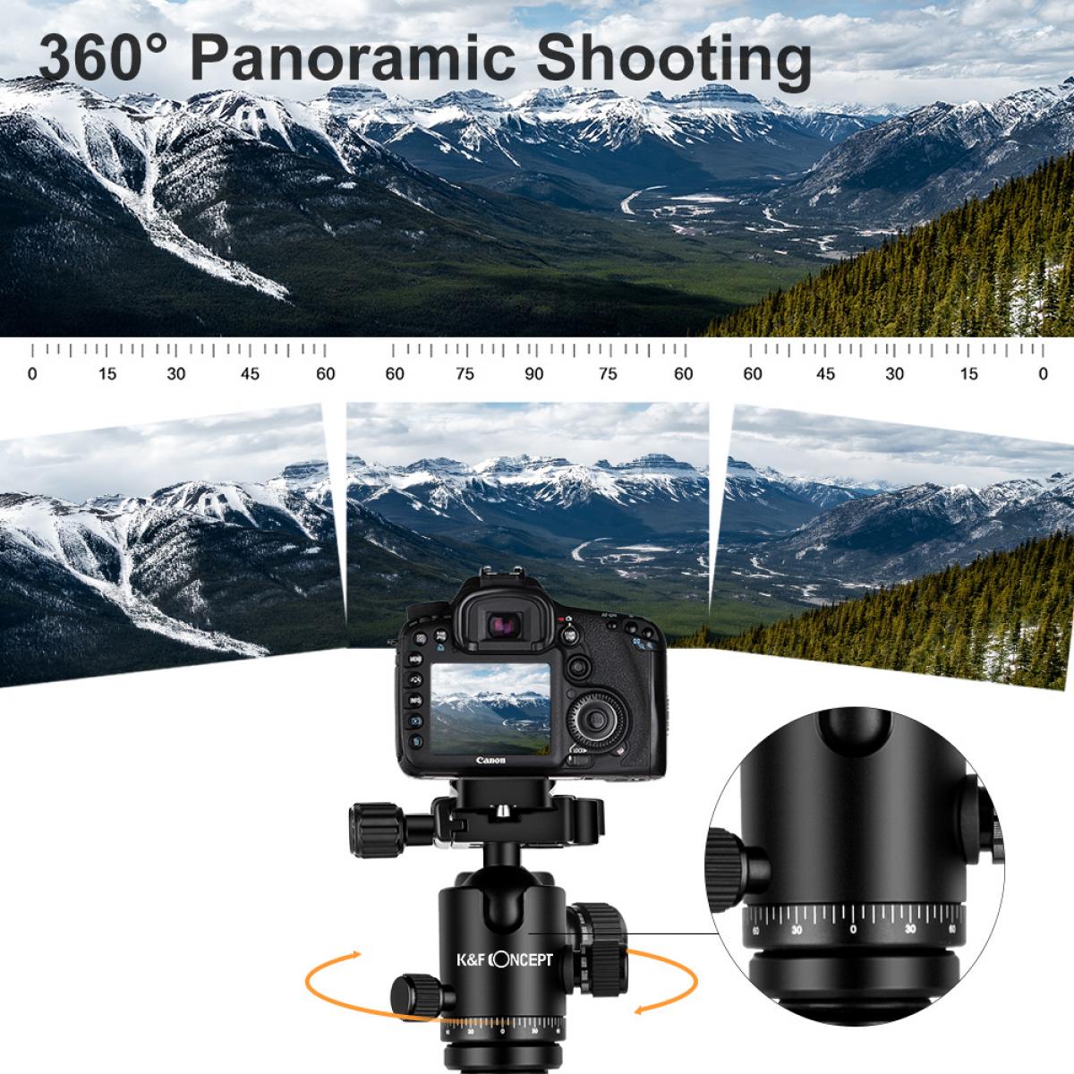 TC3134C Profissional Carbono Tripod Monopod Kit para DSLR Camera Ball Cabeça 4 Seções