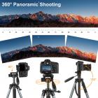 TM2324Lグレーポータブルコンパクト三脚56インチビデオカメラ携帯電話3ウェイスイベルパンチルトヘッド