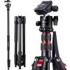 78 inch Camera Tripod for DSLR Compact Aluminum Tripod with 360 Degree Ball Head and 8kgs Load for Travel and Work