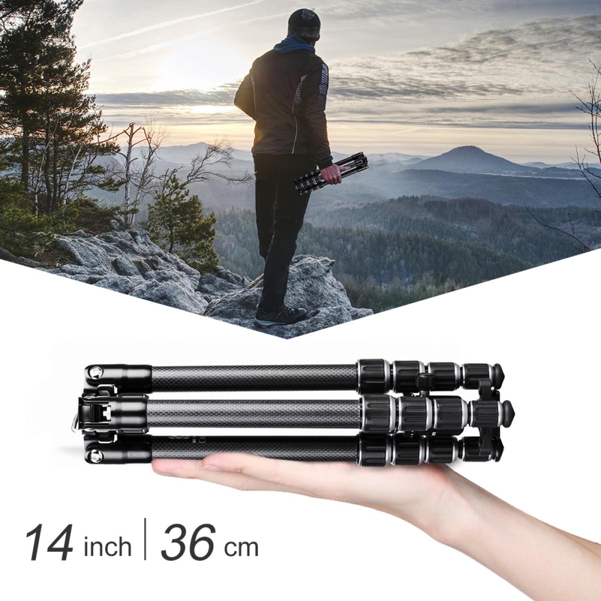 B210 Travel Tripod Light Carbon Fiber with 2 sections Central Column / Metal Accessories / Case / 360 ° Ball Head / for Vlogging Travel for Canon Nikon Sony Olympus Camera