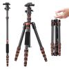 K&F Concept 60" Carbon Fiber Camera Tripod,Super Lightweight Compact Travel Tripod with 360° Ball Head,Quick Release Plate,Detachable Monopod 8KG Load Capacity for SLR DSLR A225C0+BH-25L Air Pro Series