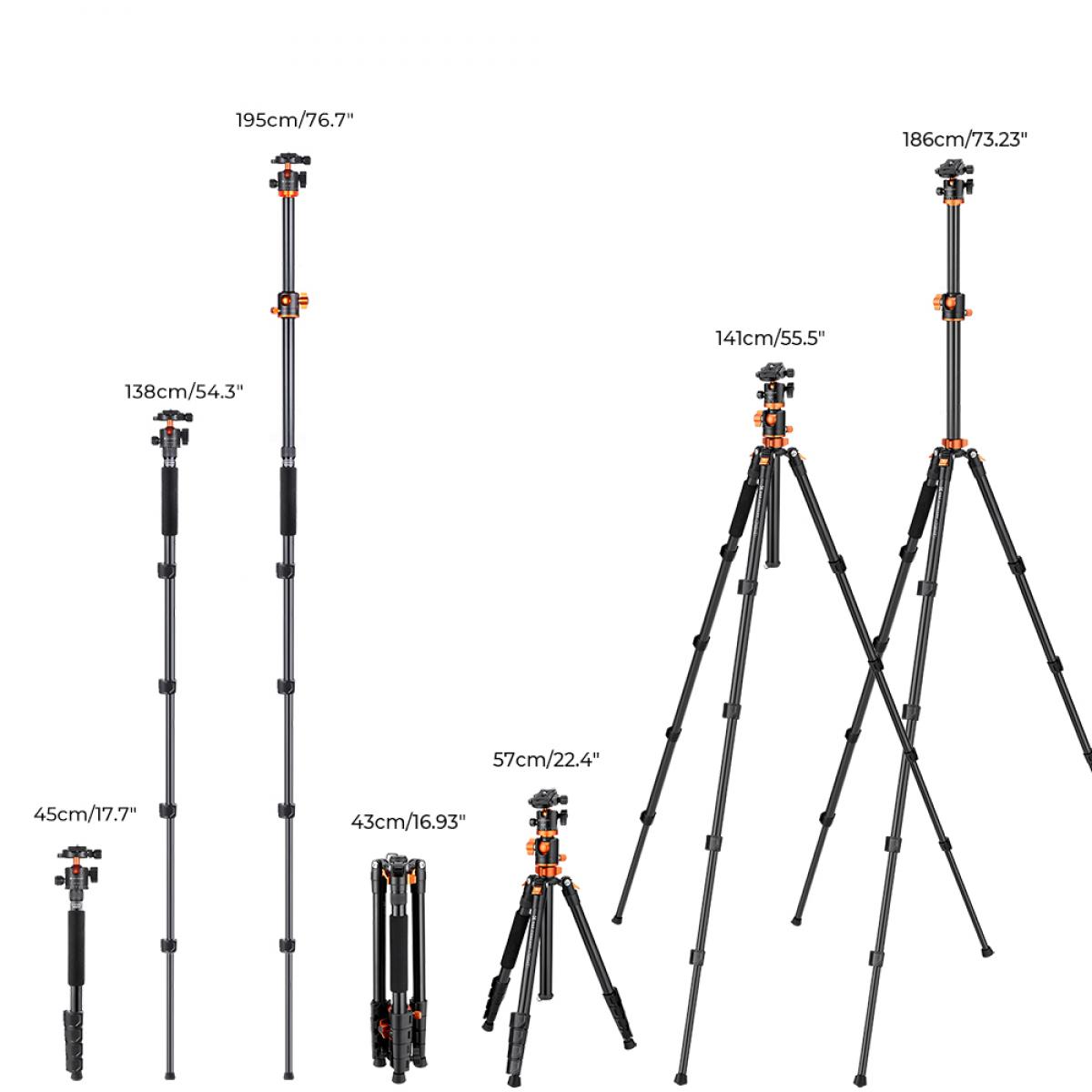 macro photography, the center axis can be inverted to give you the option for low shooting angles