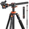 94 Inch Camera Tripods 4 Section Ultra High Aluminum Professional Detachable Monopod Tripod with 360 Degree Ball Head Quick Release Plate for DSLR SLR Cameras T254A8+BH-28L (SA254T1)