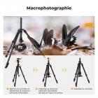 195 cm (77") Trépied Appareil Photo en Aluminium, Léger et Portable avec Clip de Téléphone et Colonne Horizontale, Trépied Caméra de Macrophotographie｜Dimension pliée: 39 cm