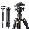 TM2324 64"/162cm Lightweight & Compact Aluminum Camera Tripod with 360° Ball Head & Detachable Monopod B234A1 + BH-28L Golden & Black