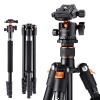 64"/1.6m Lightweight Travel Tripod Compact Aluminum Alloy Tripod 10kg/22lbs Load Capacity with 28mm Metal Ball Head & Detachable Monopod Orange B234A1+BH-28(TM2324)