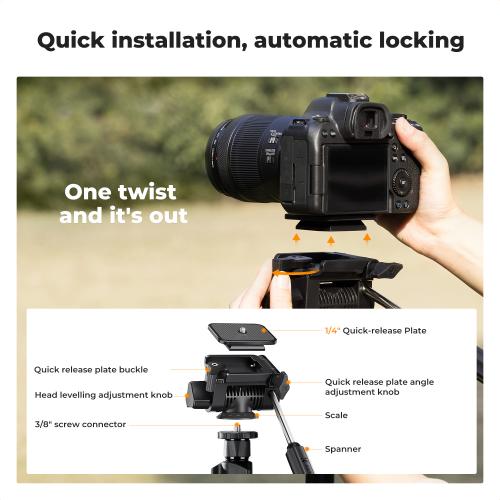 Portrait Orientation Support