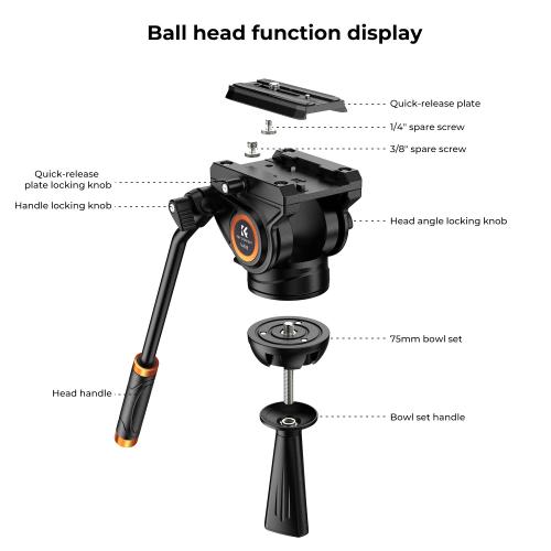 Integrated Video Stabilization