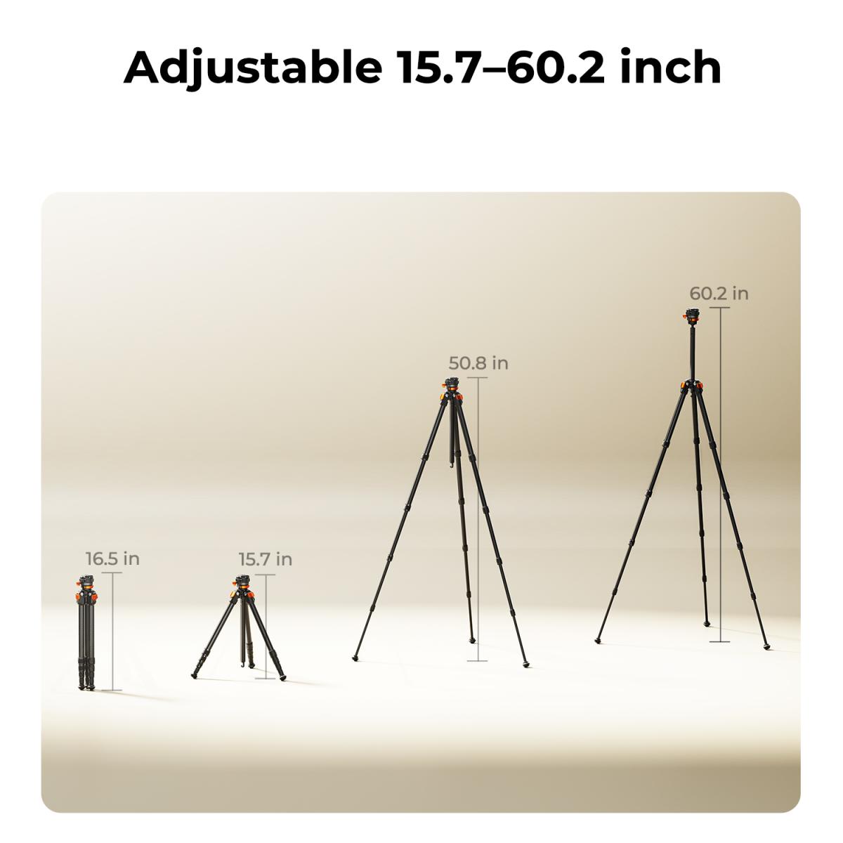 K&F Concept Treppiede Fotocamera in Carbonio 153cm, Cavalletto Fotografico con Testa a Sfera e Arca Swiss, Portata 6kg, Lunghezza Piegata 42cm, Compatibile con Reflex, Mirrorless, Sony, Canon, Nikon