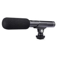 Video Cameras That You Can Put Microphones On?