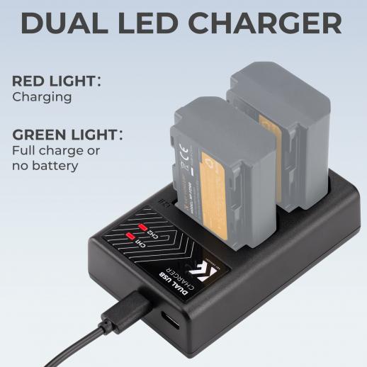 K&F CONCEPT NP-FZ100 Dual Slot Quick Charger, Micro USB and Type-C Dual  Interface, Battery
