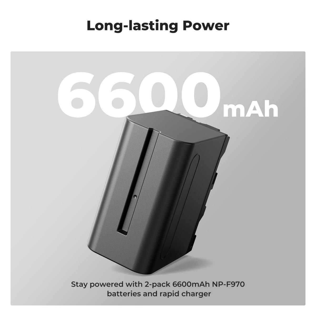 Chargeur Double LCD Pour Batteries Sony NP-F550/F750/F930/etc. - Charge Rapide Avec Écran - DSTE