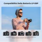 Batteria K&F CONCEPT LP-E6P, confezione da 2, 2520 mAh, USB-C, compatibile con Canon EOS R5 Mark II, C50 R6V R6 R7 5D 5DS R 6D 7D 60D 70D 80D 90D, ricarica rapida completa in 2,5 ore, completamente decodificata.