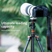 顕微鏡 子供 何 を 見る ?