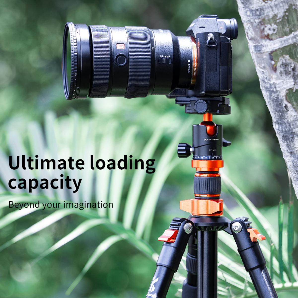 17.63lbs/8kg Load Tripod Ball Head KF-25 Series 360° Tripod Head with 1/4" Thread Quick Release Plate for Tripod Monopod Slider Camera