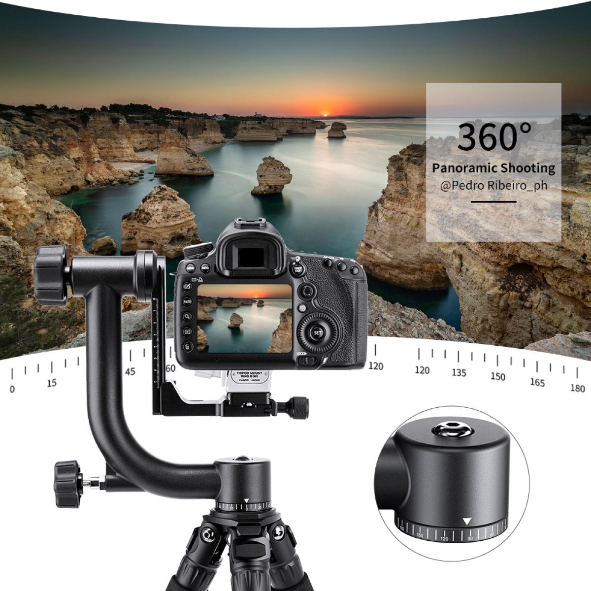 Tripod Head 44lbs/20kg Load Professional Heavy Duty 360° Pantilt with 1/4'' Standard Quick Release Plate & Bubble Level