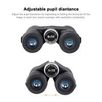 What Is Binocular Vision Used For?