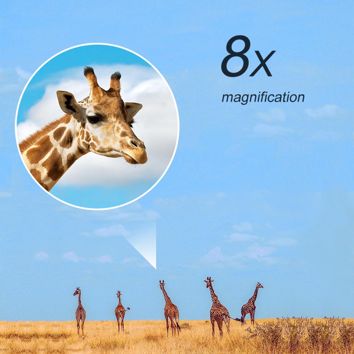 アウトドアウォッチング用8×42双眼鏡