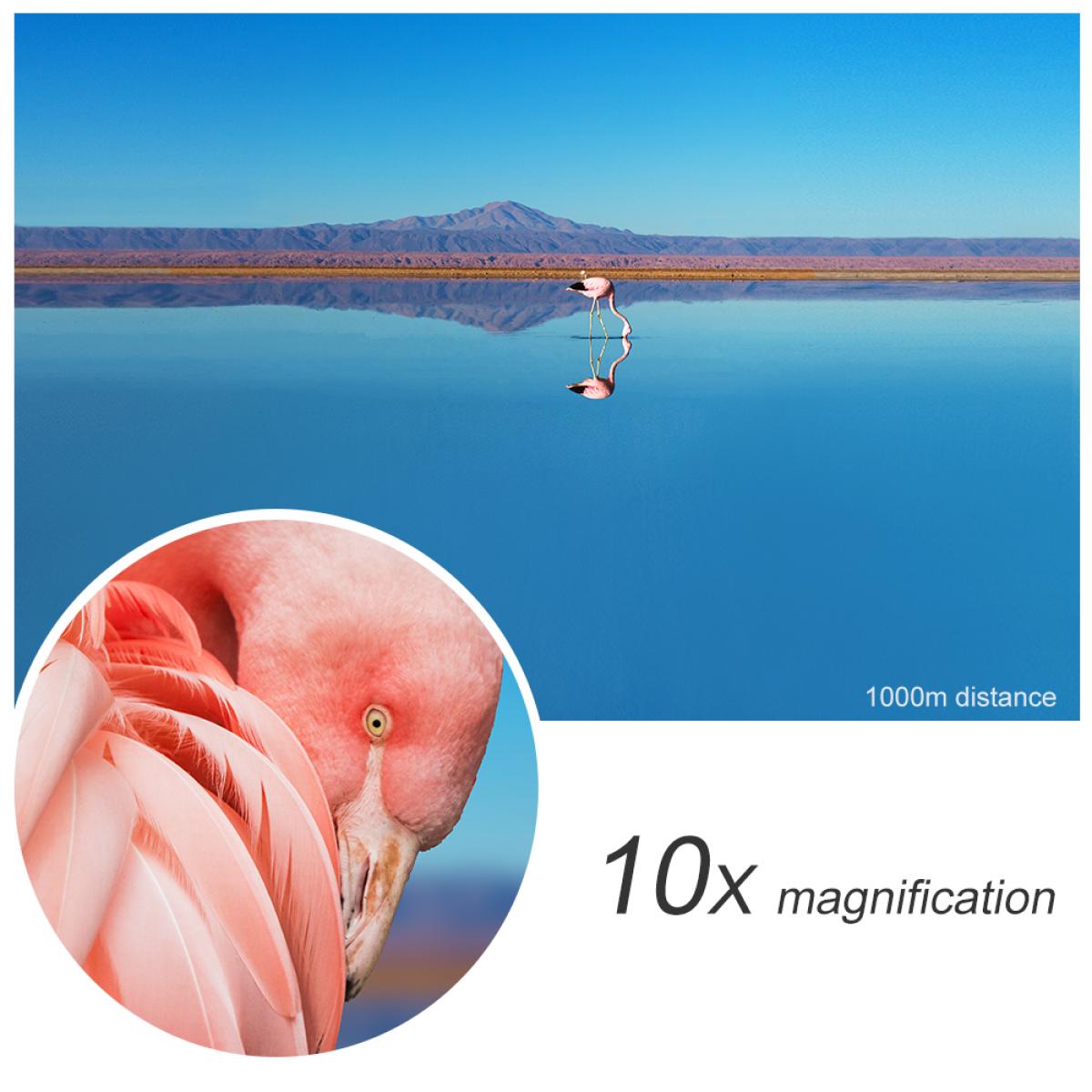 屋外鑑賞のための10×42双眼鏡