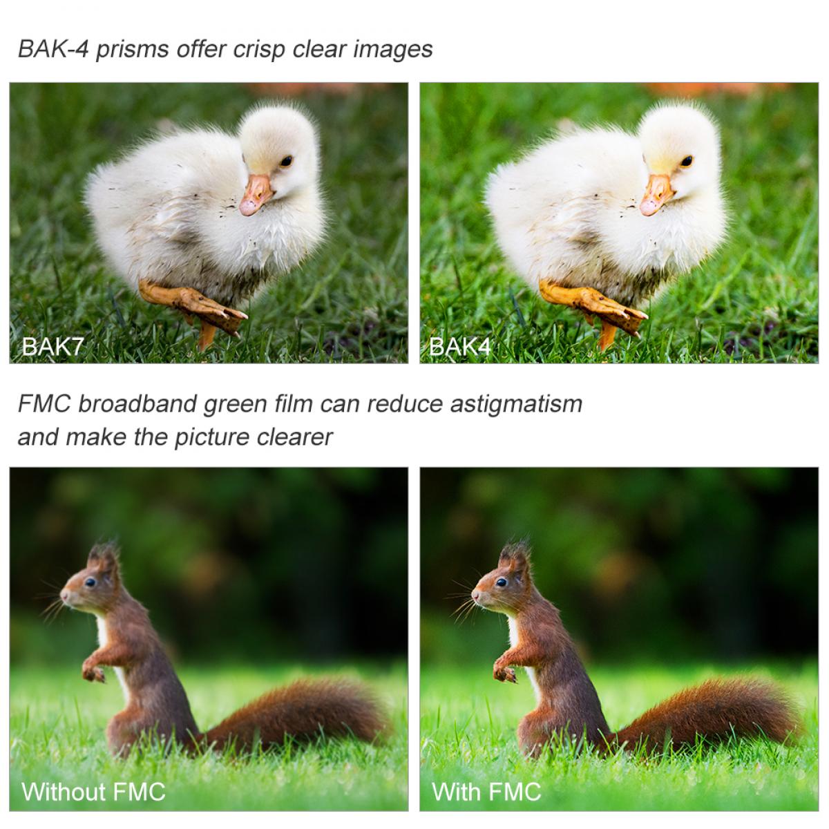 屋外鑑賞のための10×42双眼鏡