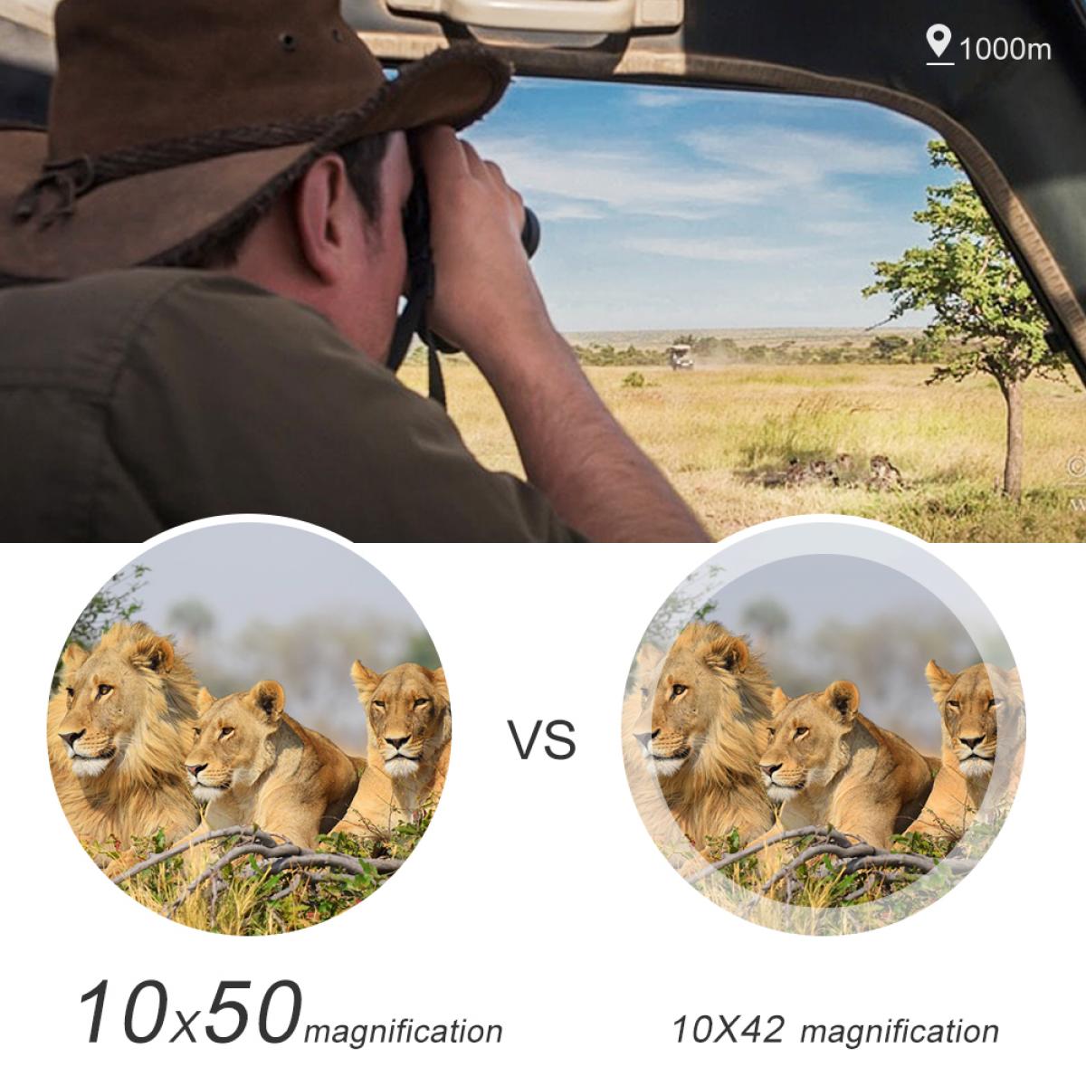 屋外鑑賞のための10×50双眼鏡