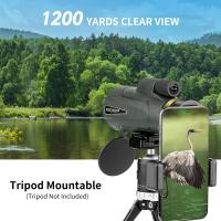 Which Monocular Magnification Is Better?