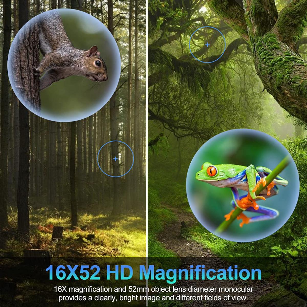 16x52 magnification 2024