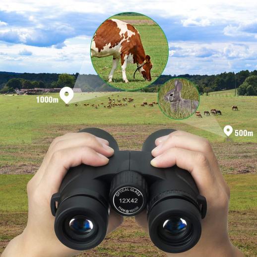 12x42 Binoculars for Birdwatching Adults Compact Binocular for Hunting Black 