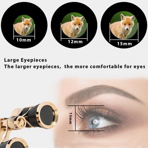 Long-Range Subject Detail
